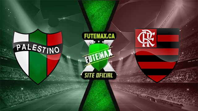 Assistir Palestino x Flamengo AO VIVO Online 07/05/2024